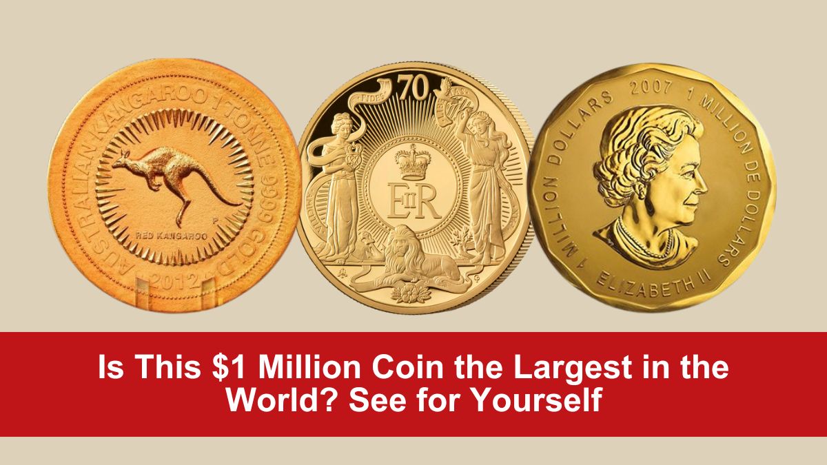 Is This $1 Million Coin the Largest in the World? See for Yourself