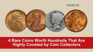 4 Rare Coins Worth Hundreds That Are Highly Coveted by Coin Collectors