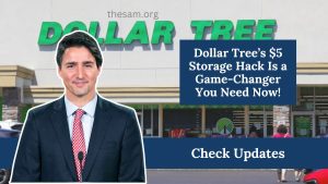 Dollar Tree’s $5 Storage Hack Is a Game-Changer You Need Now!