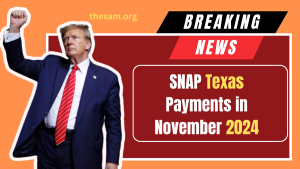 Understanding SNAP Texas Payments in November 2024 - Key Dates and Eligibility